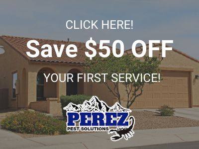 Pest Control Discount Coupon